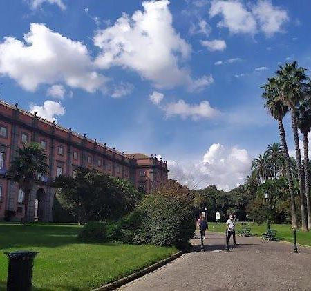 Home Cagnazzi Napoli Ngoại thất bức ảnh